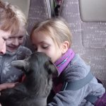 phoca_thumb_m_lye zvody 2 Fotogalerie